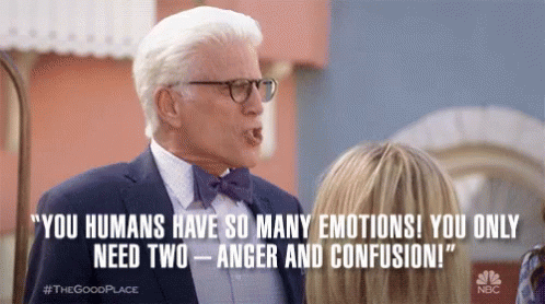 A scene from the sitcom The Good Place where a character says “You humans have so many emotions! You only need two - Anger and Confusion!